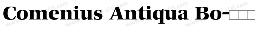 Comenius Antiqua Bo字体转换